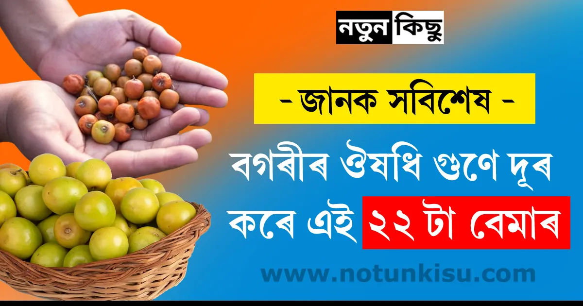 Benefits of Ber in Assamese
