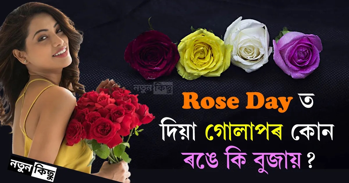 color meaning of roses in assamese