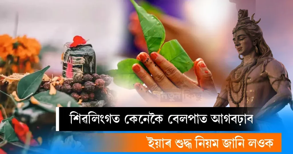 how to offer bel patra on shivling