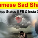 Assamese Sad Shayari | WhatsApp Status | FB & Insta Caption 2025